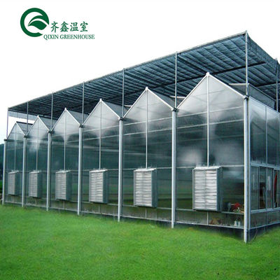 Venlo Multi-Span Greenhouse migliora l'agricoltura con sistema di ombreggiamento interno ed esterno