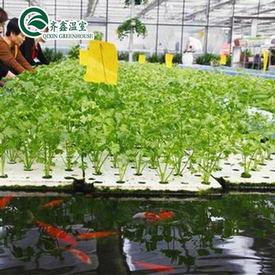 Serra agricola mono strato torre giardino per Aduaponics economica