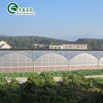 Serre agricole a più distanze, idroponiche, torre aerea, giardino per pellicole, serra