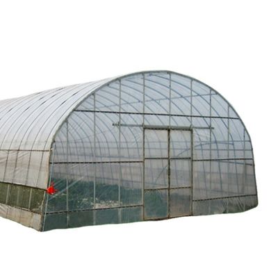 Serre agricole a un'unica estensione con rivestimento a pellicola