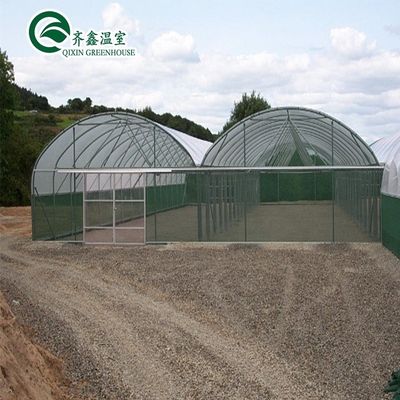 30 x 100 Serra a chiusura multi-span con copertura di ortaggi