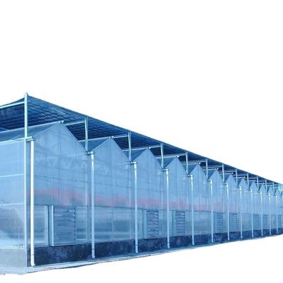 3.8m-9.8m Altezza della cresta Serra solare in vetro per le esigenze dei clienti