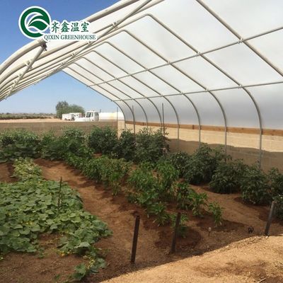 Ortaggi Frutti Fiori Funghi Casa per una coltivazione ecologica
