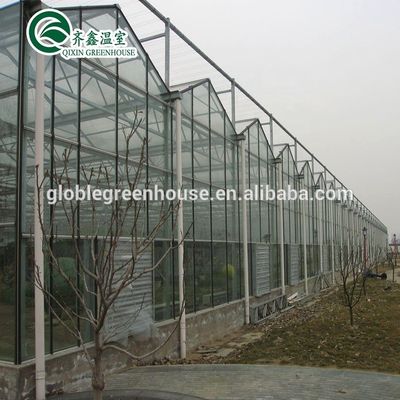 Ortaggi Frutti Fiori Pomodori Serra con sistema di ombreggiamento interno ed esterno