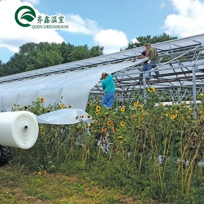 Ortaggi Frutti Fiori Funghi Casa per una coltivazione ecologica