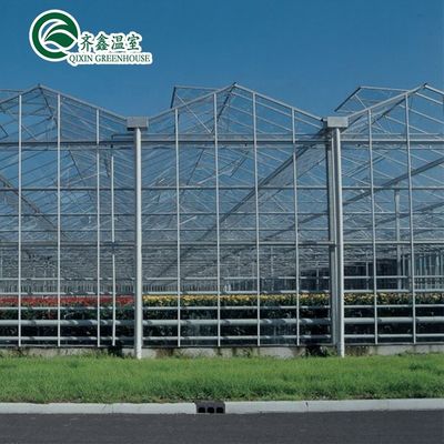 Ortaggi Frutti Fiori Pomodori Serra con sistema di ombreggiamento interno ed esterno