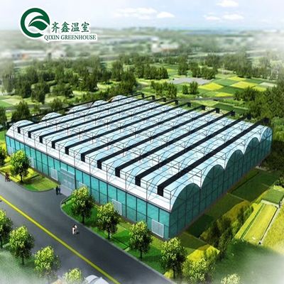 Materiale di copertura per fogli di PC Serra agricola multi-span per la coltivazione di ortaggi