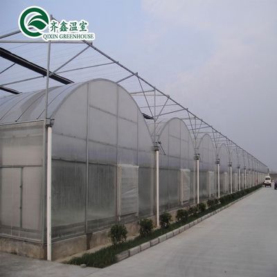 Materiale di copertura per fogli di PC Serra agricola multi-span per la coltivazione di ortaggi