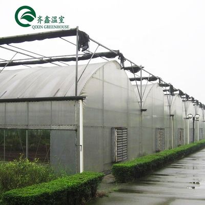 Materiale di copertura per fogli di PC Serra agricola multi-span per la coltivazione di ortaggi