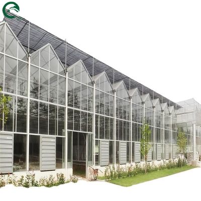 Buona permeabilità alla luce essenziale per le serre in vetro Venlo nell'industria agricola