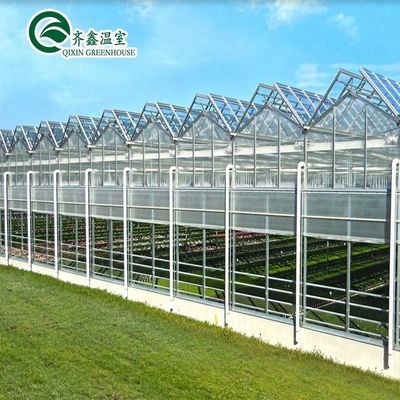 Buona permeabilità alla luce essenziale per le serre in vetro Venlo nell'industria agricola