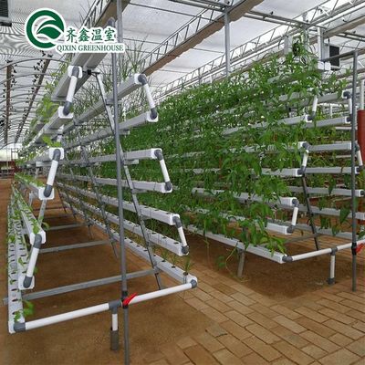 Potenziare il raccolto delle patate Grandi tubi di plastica Serre agricole multi-span
