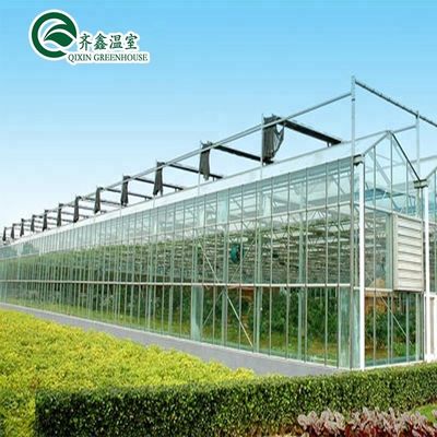 Buona permeabilità alla luce essenziale per le serre in vetro Venlo nell'industria agricola