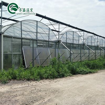 Potenziare il raccolto delle patate Grandi tubi di plastica Serre agricole multi-span