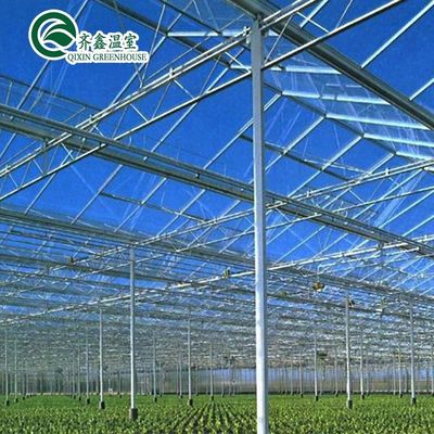 Buona permeabilità alla luce essenziale per le serre in vetro Venlo nell'industria agricola