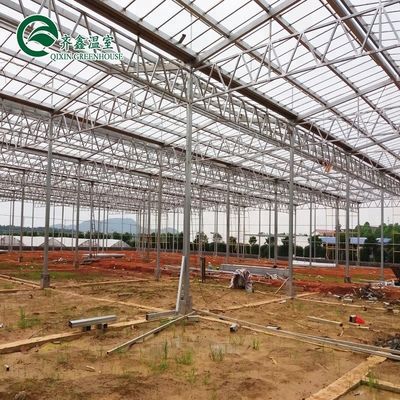 Buona permeabilità alla luce essenziale per le serre in vetro Venlo nell'industria agricola