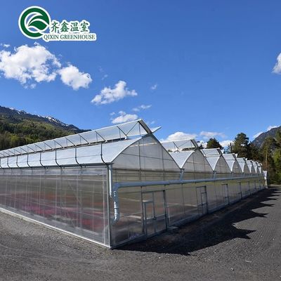 Progettazione di una struttura di serra in acciaio di grandi dimensioni con rivestimento in pellicola PE da 150/200 micron