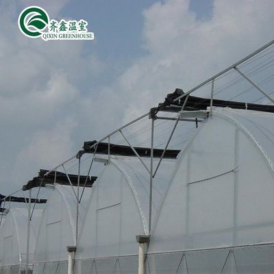 Serra agricola della Corea del Sud con banco di rotazione a flusso di colata e sistema di ombreggiamento interno