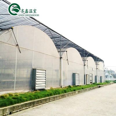 Serra agricola della Corea del Sud con banco di rotazione a flusso di colata e sistema di ombreggiamento interno