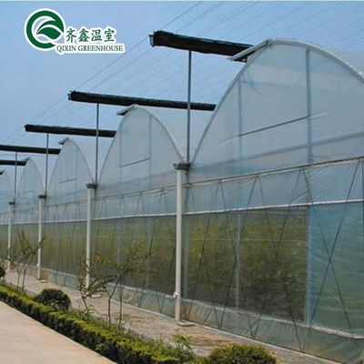 Sacchetti per la coltivazione di PE e sistema di controllo automatico ideali per la serra agricola della Corea del Sud