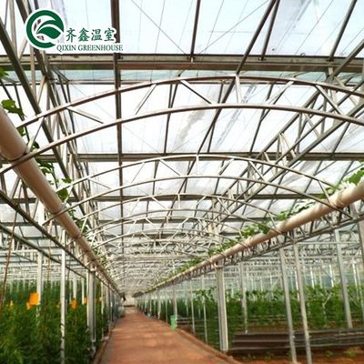 Sacchetti per la coltivazione di PE e sistema di controllo automatico ideali per la serra agricola della Corea del Sud