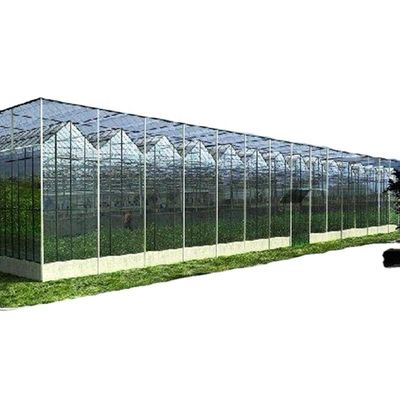 Tonnello per giardino in serra con vetro o foglio PC