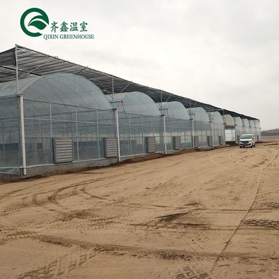 Serra poli-tunnel coperta da pellicola di plastica con sistema idroponico e ventilazione