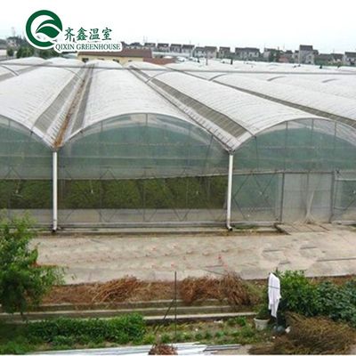 Serra poli-tunnel coperta da pellicola di plastica con sistema idroponico e ventilazione