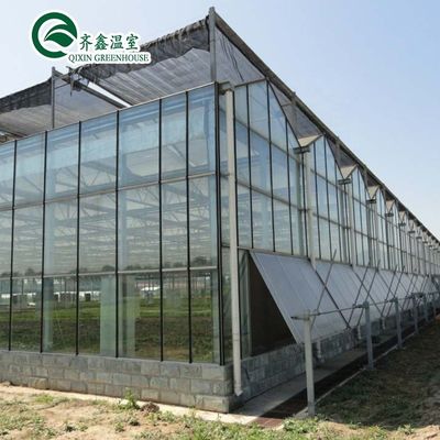 Tonnello per giardino in serra con vetro o foglio PC