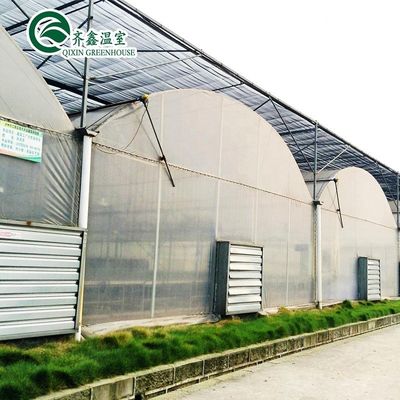 Serra poli-tunnel coperta da pellicola di plastica con sistema idroponico e ventilazione
