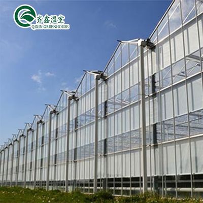 Tonnello per giardino in serra con vetro o foglio PC