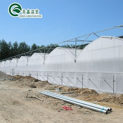 30 x 100 Serra a chiusura multi-span con copertura di ortaggi