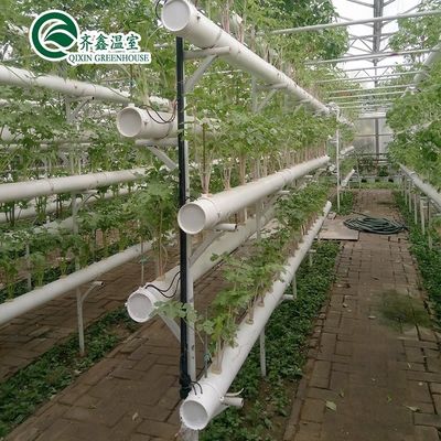 Sistema idroponico verticale a doppio strato per serre agricole multi-span