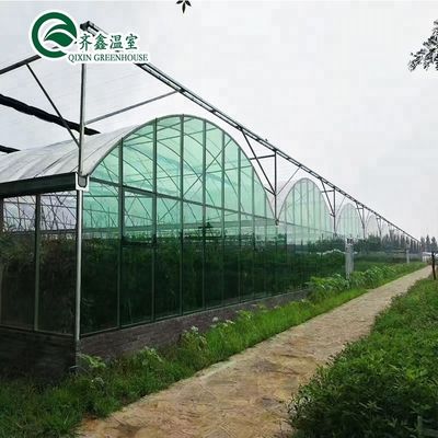 Sistema idroponico verticale a doppio strato per serre agricole multi-span