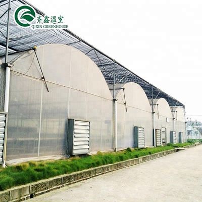 Sistema idroponico verticale a doppio strato per serre agricole multi-span
