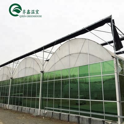 Sistema idroponico verticale a doppio strato per serre agricole multi-span