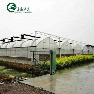 Sistema idroponico verticale a doppio strato per serre agricole multi-span