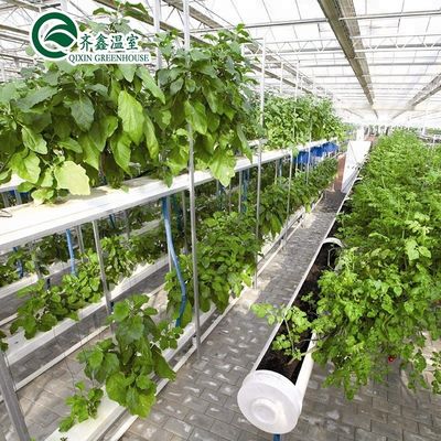 Serre agricole multi-span con pellicola PO che ridefiniscono i sistemi idroponici interni