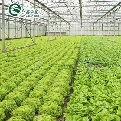 Serre agricole multi-span con pellicola PO che ridefiniscono i sistemi idroponici interni