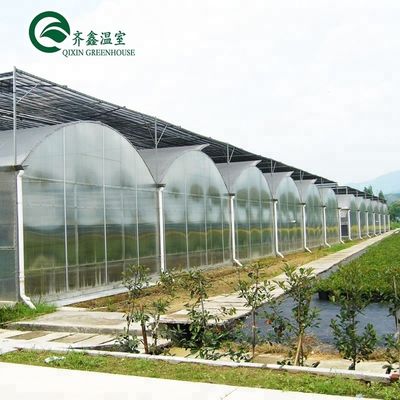 Serre agricole multi-span con pellicola PO che ridefiniscono i sistemi idroponici interni