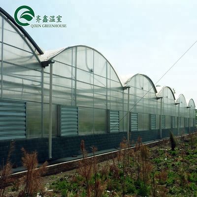 Serre agricole multi-span con pellicola PO che ridefiniscono i sistemi idroponici interni