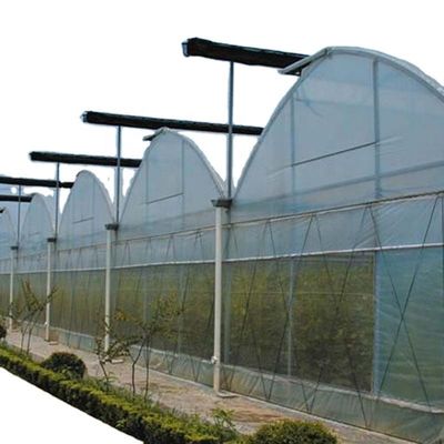 Sistema di ombreggiamento interno Funghi attrezzature di serra per frutta e fiori vegetale