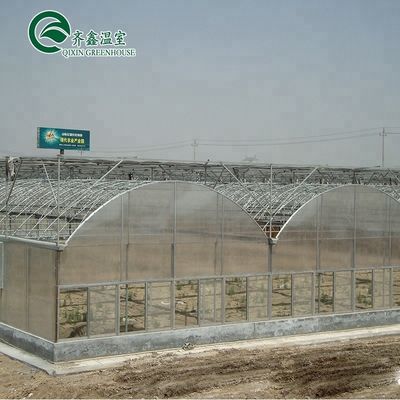Generatore di CO2 per serre per serre agricole multi-span