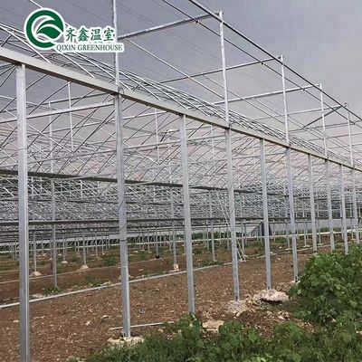 Contenitore per l'agricoltura su larga scala con serre agricole multi-span