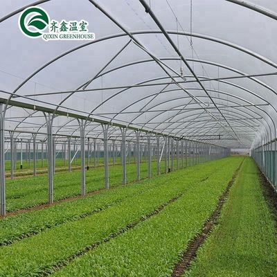 Contenitore per l'agricoltura su larga scala con serre agricole multi-span