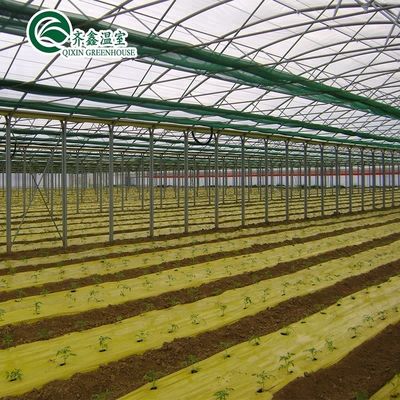 Contenitore per l'agricoltura su larga scala con serre agricole multi-span