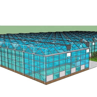 Ortaggi Frutti Fiori Sistema acquaponico Serre agricole multi-span Rendimento