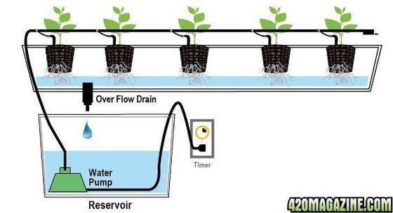 PO La soluzione definitiva per l'agricoltura verticale in serre agricole multi-span