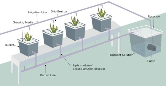 PO La soluzione definitiva per l'agricoltura verticale in serre agricole multi-span