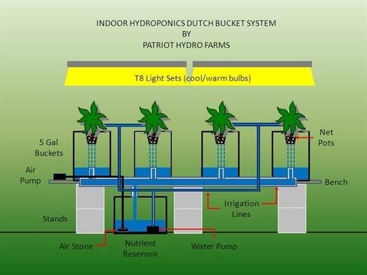 PO La soluzione definitiva per l'agricoltura verticale in serre agricole multi-span